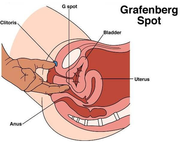 How To Hit G Spot During Sex 13